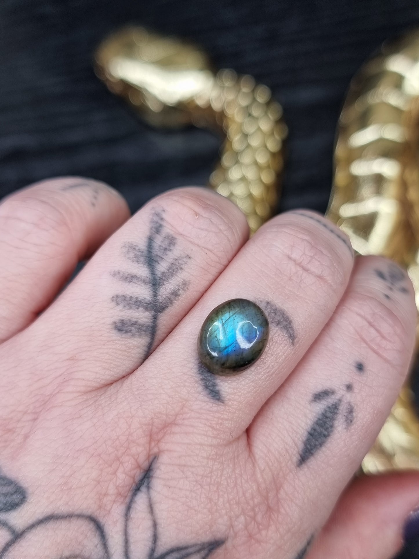 Labradorite Oval 01 PYP