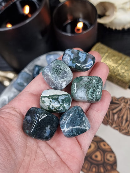 Moss Agate Tumble stone