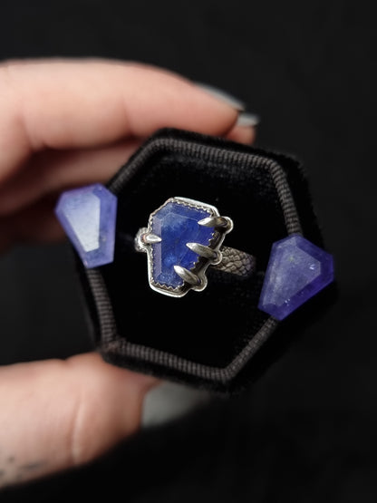 Tanzanite Crypt Keeper Ring MTO