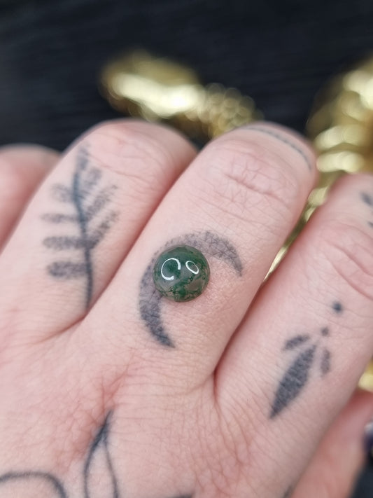 Moss Agate Round 02 PYP