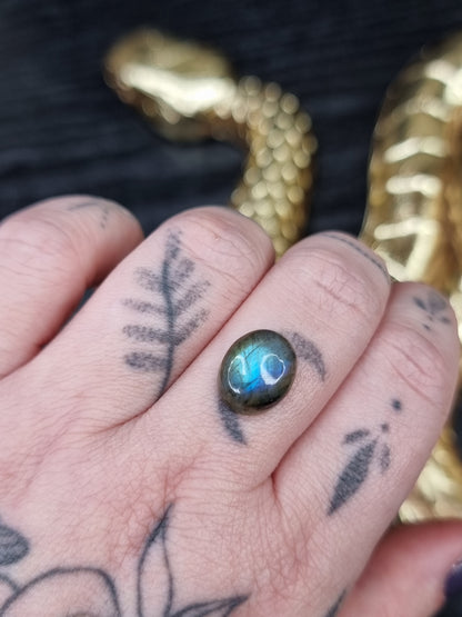 Labradorite Oval 01 PYP