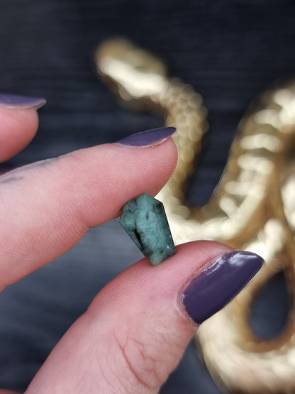 Emerald Coffin PYP