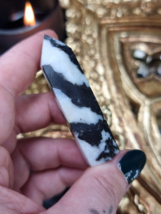 Zebra Jasper 02 CYC