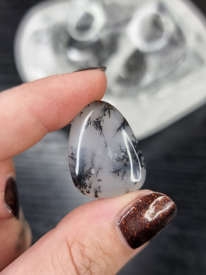 Dendritic Opal PYP