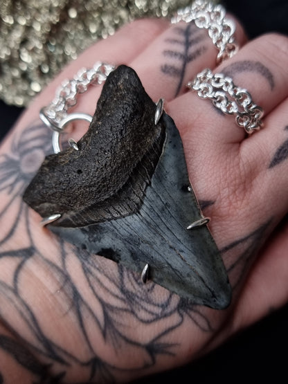 Megalodon Tooth Necklace