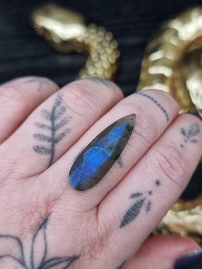 Labradorite Talon PYP