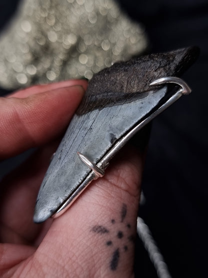 Megalodon Tooth Necklace