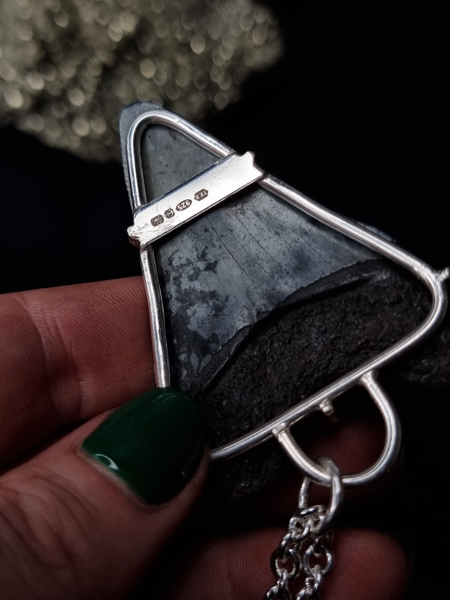 Megalodon Tooth Necklace