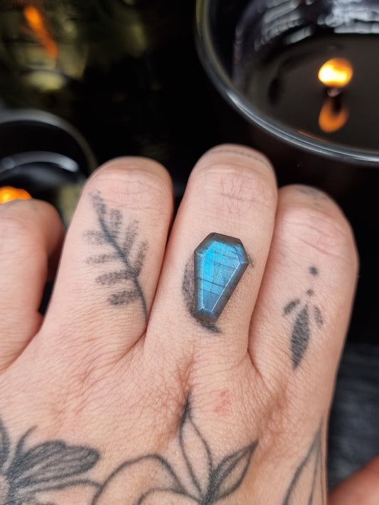 Labradorite Coffin 01 PYP