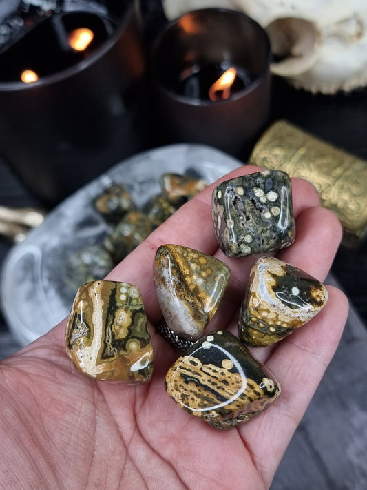 Ocean Jasper Tumble stone