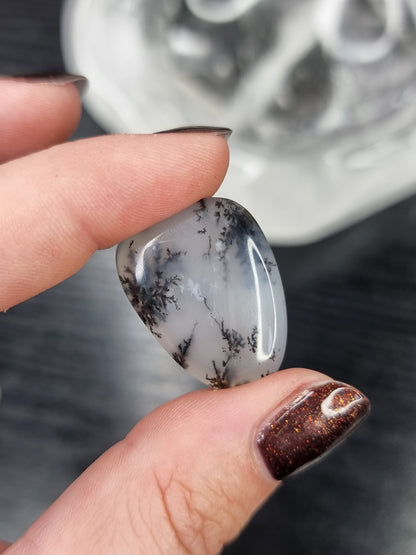 Dendritic Opal PYP