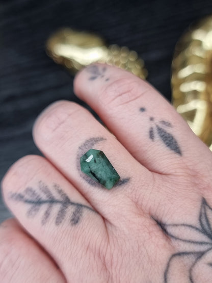 Emerald Coffin PYP