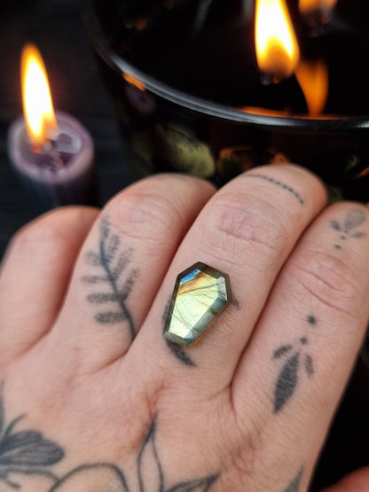 Labradorite Coffin 04 PYP