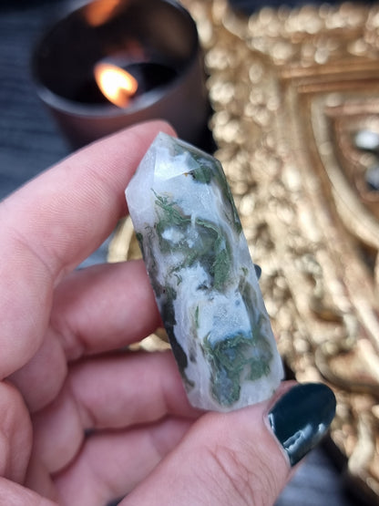 Moss Agate 02 CYC